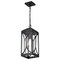Nuvo Oaklyn - 1 Light Hanging Lantern - Matte Black with Clear Glass 60/8125 - alternate 6